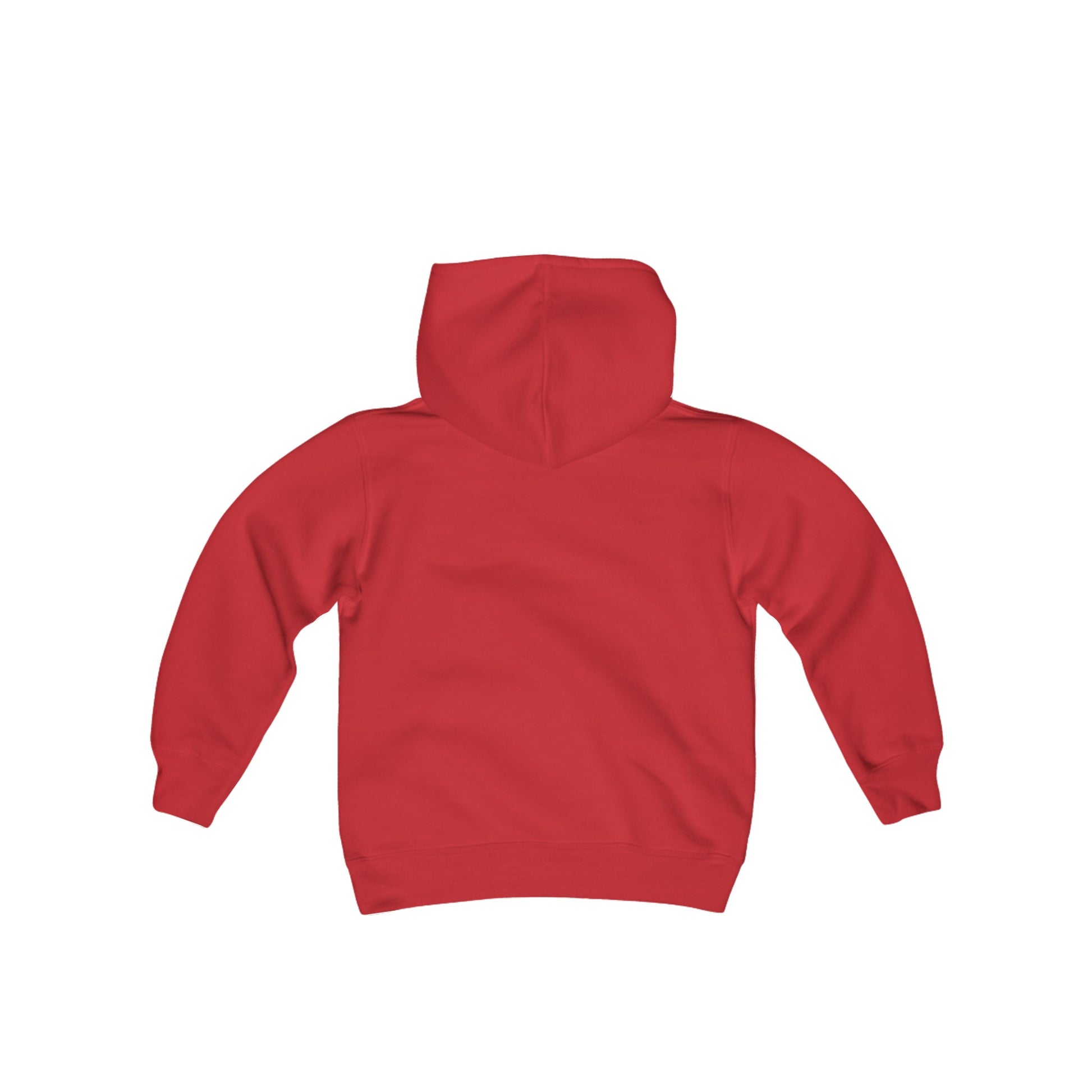 Kenshi Bear Youth Hoodie - TDDYtee